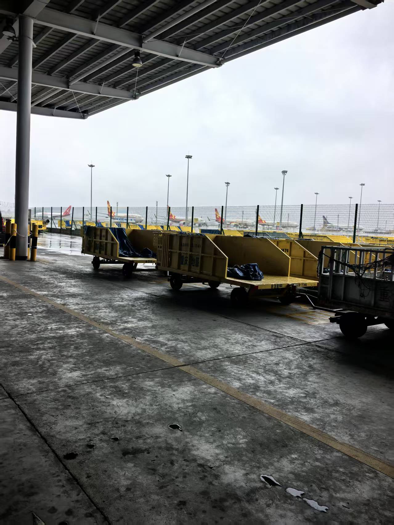 国际空运服务 International Air Freight